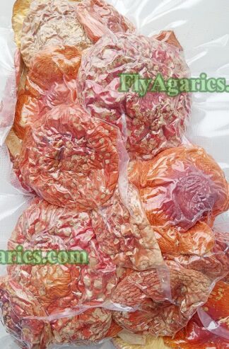 Мухоморы в вакуумных пакетах по низкой цене