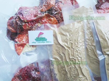 Купить порошок мухомора по низкой цене