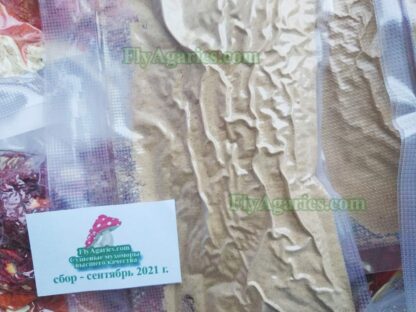 Порошок из шляпок мухомора для микродозинга