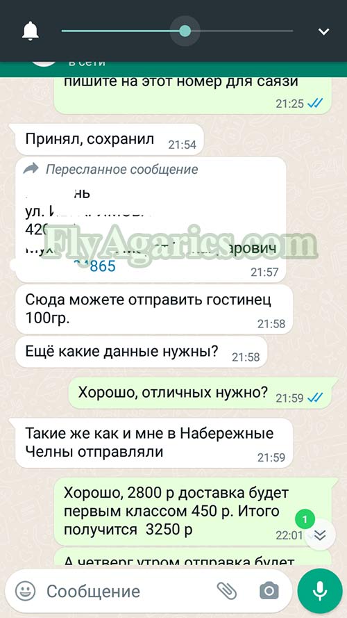 Отзыв клиента об Интернет-магазине FlyAgarics.com - таких же как и мне