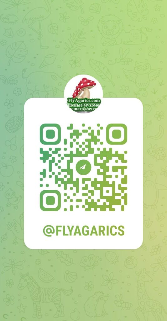 Официальный Телеграм канал сайта про мухоморы @flyagarics